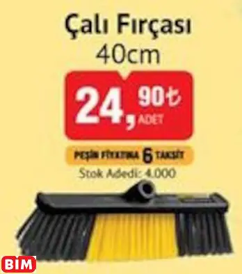 ÇALI FIRÇASI 40CM